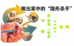 室內空氣污染的特征